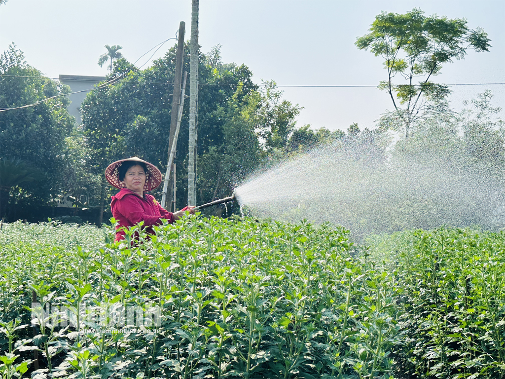 Hiệu quả chuyển đổi cơ cấu cây trồng ở Thạch Bình